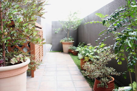 MEISTERギャラリー㊾